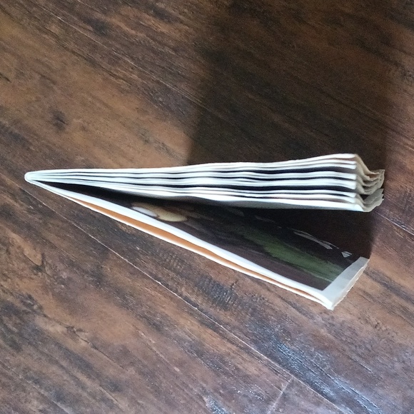 Vintage Flutterby and Buttermilk Paperback Books - Picture 12 of 15